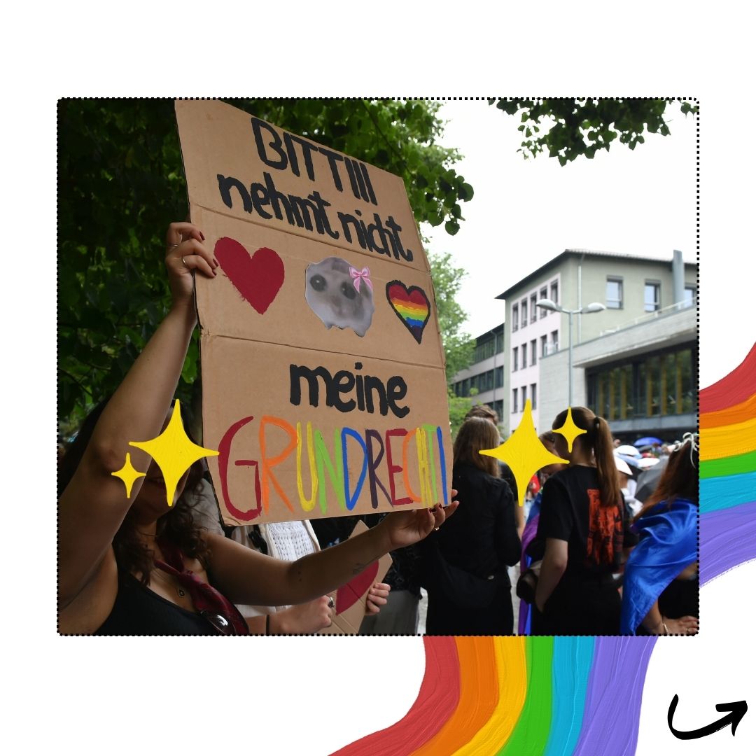 "Bitte nehmt mir nicht meine Grundrechte" mit einem Süßen Katzenbild